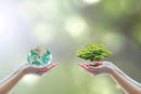 ambiente ambiente